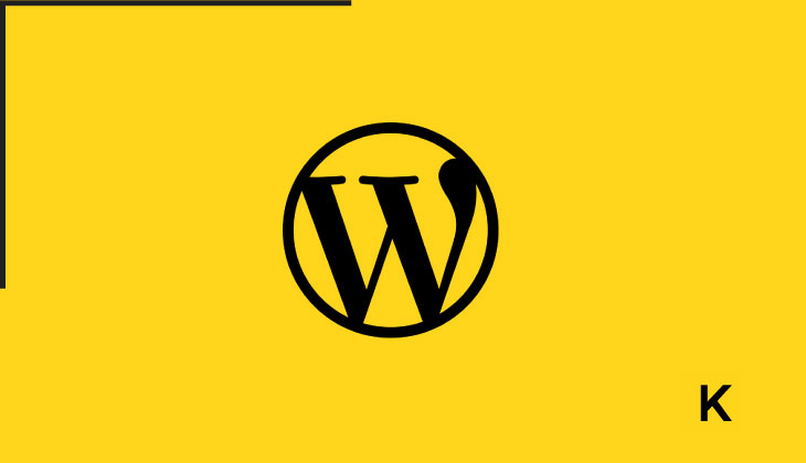 Neden Wordpress Kullanılmalı?